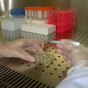 Procesado de muestras en cabina de flujo laminar en Laboratorios MABAD